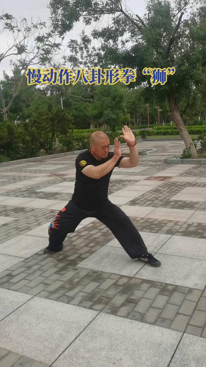 关于传统武术表演秀,传递文化正能量的信息 关于传统武术表演秀,传递文化正能量的信息