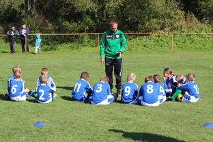 华体会体育网登录-澳大利亚队如何通过团队赛制战术，在大赛中脱颖而出，澳大利亚队伍